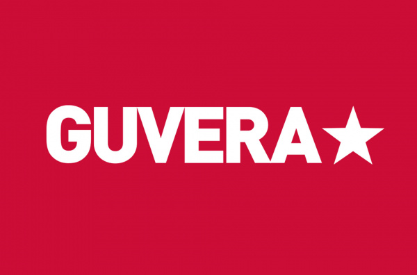 IP Due Diligence for GUVERA
